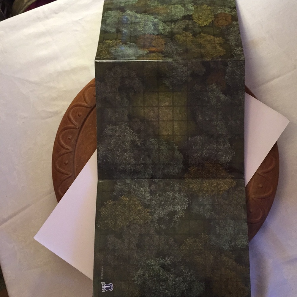 Pathfinder flip-mat classics - Picture 12 of 14